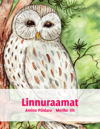 Linnuraamat